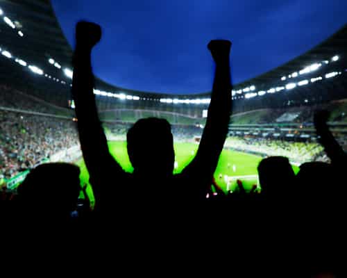 Sports fans cheering at a game